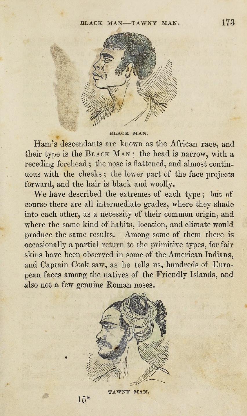 Page 173 from John B. Newman's First Book in Physiology: With Anatomy, and the Laws of Hygiene (New York, 1851) illustrating how contemporary medical experts thought of race.